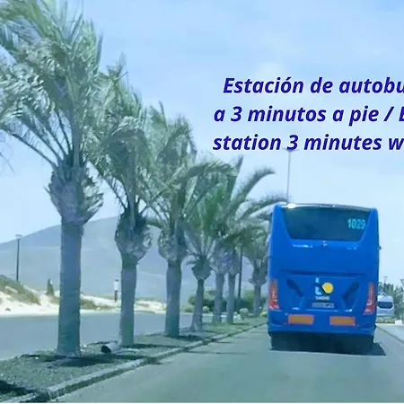 Sun - Volcano Sunset Corralejo