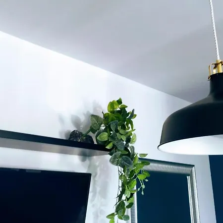 Sun - Volcano Sunset Коральео