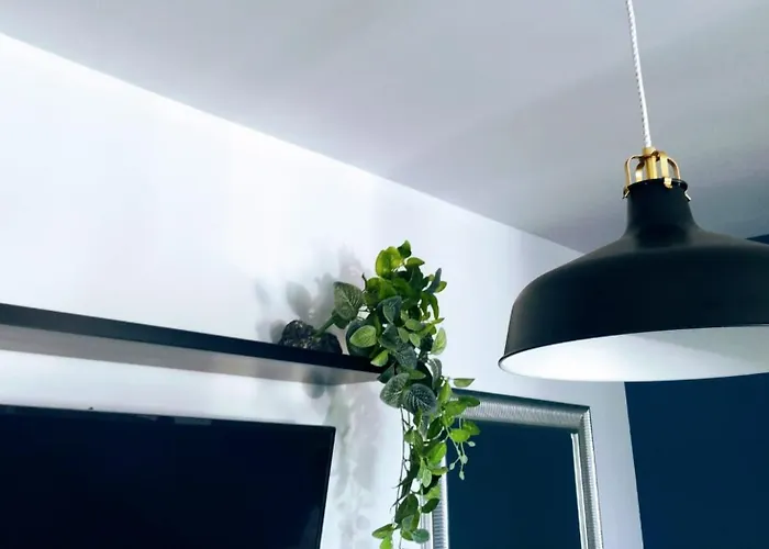 Sun - Volcano Sunset Corralejo